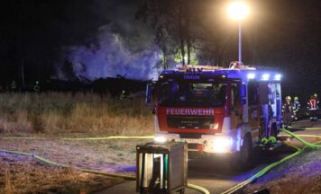 Großer Einsatz in Traun: Holzstämme am Waldrand in Flammen