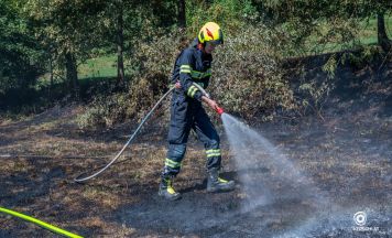 Wiese in Schlierbach in Flammen