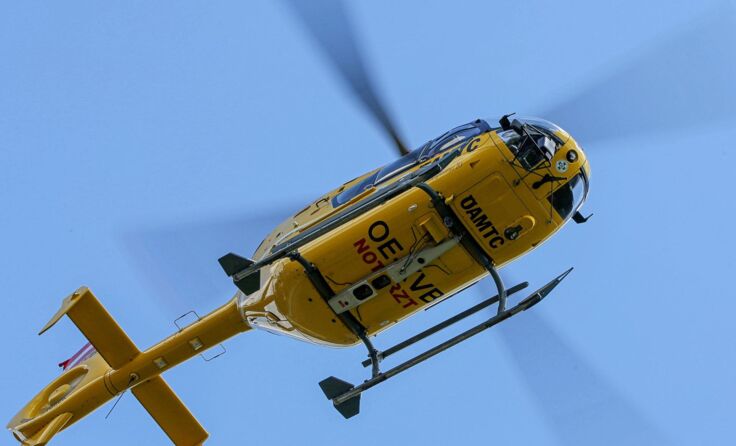 Symbolfoto: Weihbold