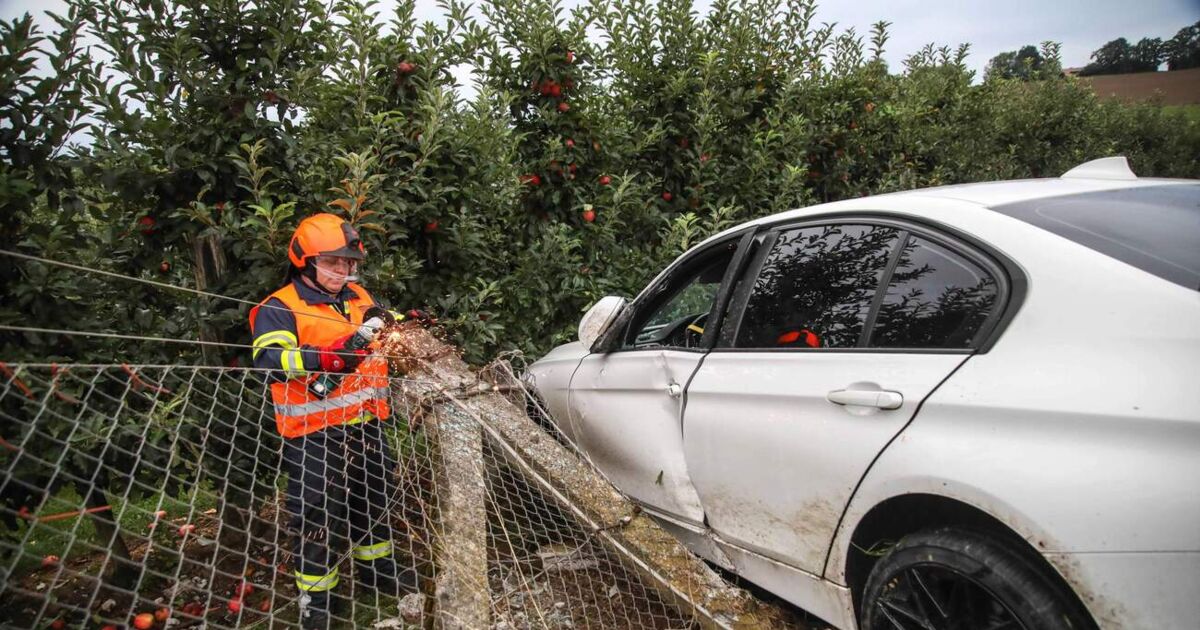Car crashes into fence of apple orchard in Buchkirchen