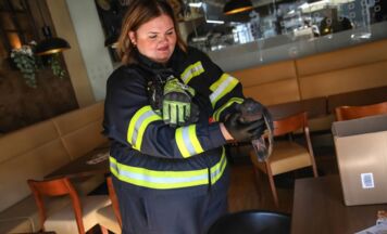 Feuerwehr Marchtrenk rettet verletzte Taube