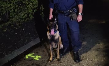 Polizeidiensthund fand Tatwaffe nach Messerattacke in Braunau