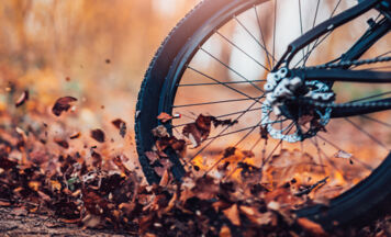 Mountainbikerin (60) in Dimbach nach Zusammenstoß mit Hund gestürzt