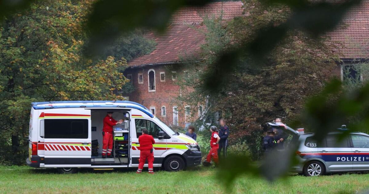 Tödlicher Fahrradsturz: Mann in Grieskirchen leblos aus der Trattnach ...