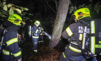 Doppelter Feuerwehreinsatz in Marchtrenk: Waldbrand und Brandverdacht nach Pyrotechnik