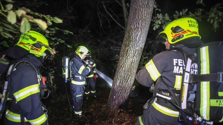 Doppelter Feuerwehreinsatz in Marchtrenk: Waldbrand und Brandverdacht nach Pyrotechnik