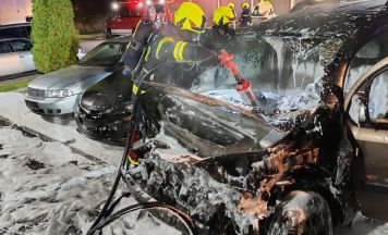 Pkw-Brand in Gutau: Schnelles Eingreifen verhindert größeren Schaden
