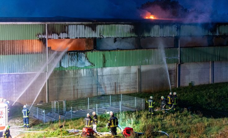 Foto: FOTOKERSCHI / SIMON BRANDSTÄTTER