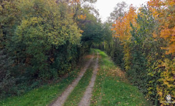 Gefährliche Falle in Traun: Zahnseide über Waldweg gespannt