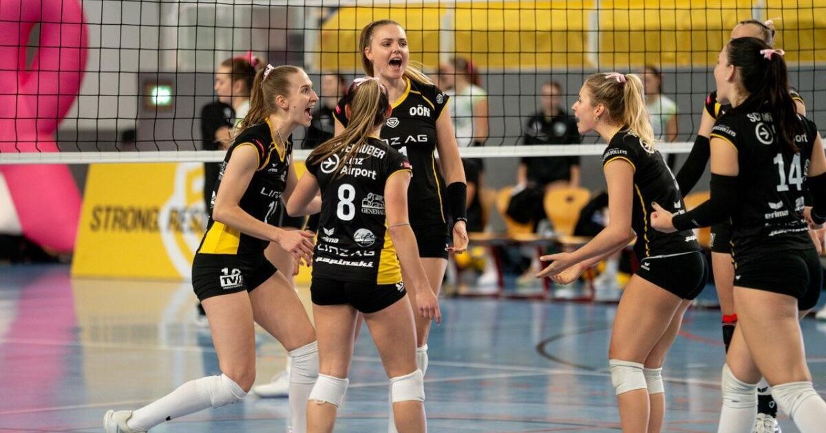 Steelvolleys vor Pflichtsieg gegen Tabellenletzten