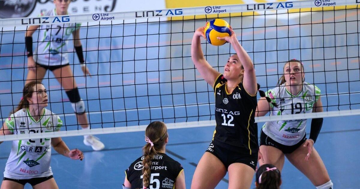 Linz AG Steelvolleys empfangen Rekordmeister