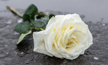 Themenrundgang – Die Vernichtung jüdischen Lebens im KZ-System Mauthausen-Gusen