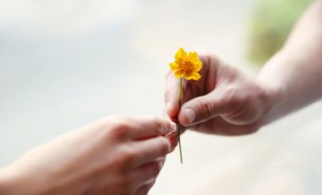 Frühlingsempfang der Volkshilfe Perg mit Podiumsdiskussion
