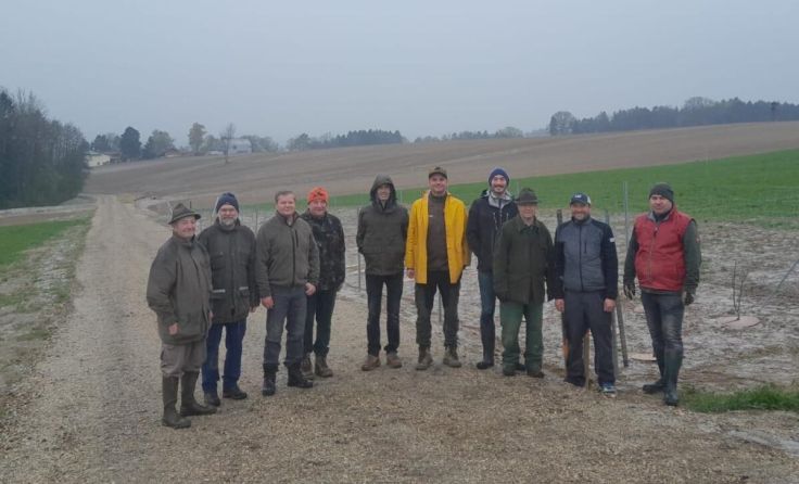 In der Ortschaft Lanzenberg in Perg wurden rund 300 Bäume und Sträucher gepflanzt. (Foto: privat)