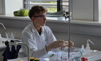Matteo Bertignoll vom Borg Perg holte sich bei der Chemieolympiade den Landesmeistertitel