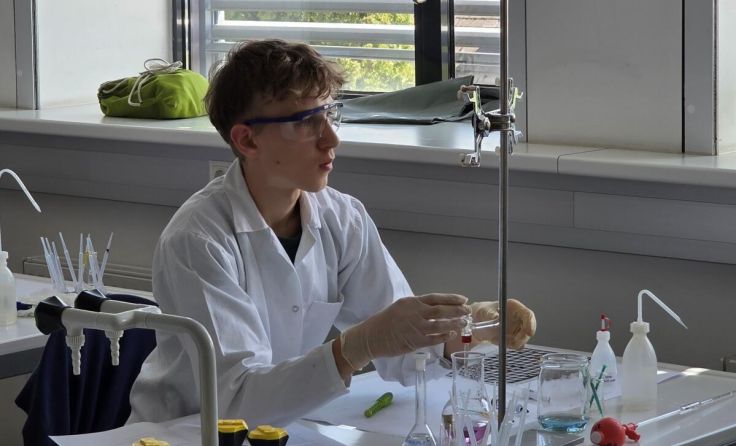 Matteo Bertignoll überzeugte beim Landeswettbewerb der Chemieolympiade. (Foto: BORG Perg)