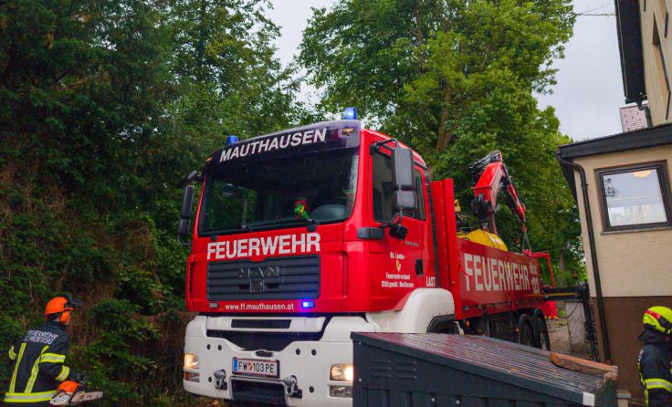 Ein entwurzelter Baum hielt die Feuerwehr stundenlang auf Trab. (Foto: FF Schwertberg)