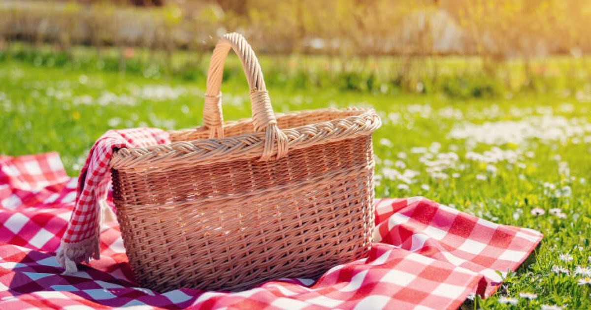 SPÖ Perg invites you to a picnic afternoon