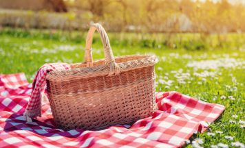 SPÖ Stadt Perg lädt zum Picknick-Nachmittag