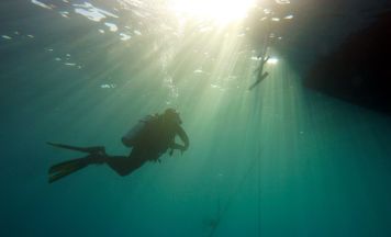 Tragödie: 32-jähriger Deutscher stirbt bei Tauchgang vor Brasilien