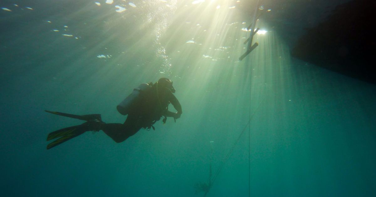 Tragedy in the Maldives: After five Italian divers, a rescue diver also ...