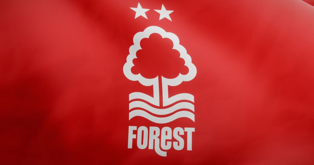 Viel Potenzial: So sieht Oliver Glasners Mannschaft bei Nottingham Forest ...