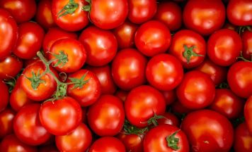 Körpergewicht in Tomaten: Spanische Weltmeister erhalten verrücktes Geschenk