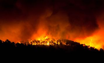 Waldbrand auf Kreta zwingt tausende Urlauber zur Evakuierung