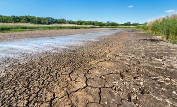 Dürre: Sorgt ausgetrockneter Rhein für Teuerung?