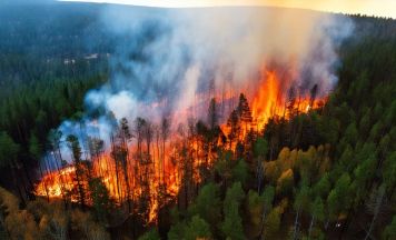 Riesige Waldbrände in Deutschland: Hunderte Helfer im Kampf gegen die Flammen im Einsatz