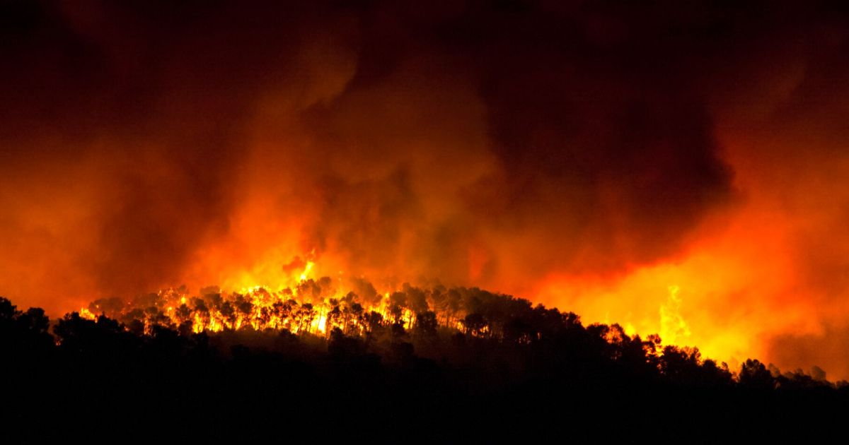 Belgien kämpft gegen größten Waldbrand seiner Geschichte