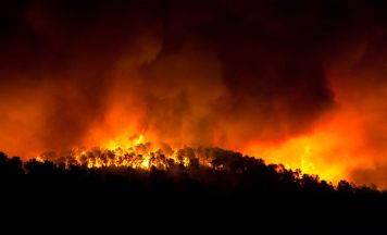 Belgien kämpft gegen größten Waldbrand seiner Geschichte