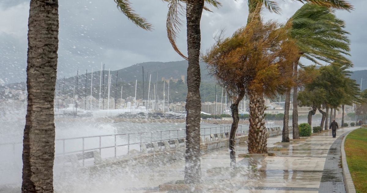 Unwetter-Warnstufe Rot: Sturmtief Adam legt Mallorca lahm