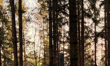 Osterschmuck am Hengstenberg