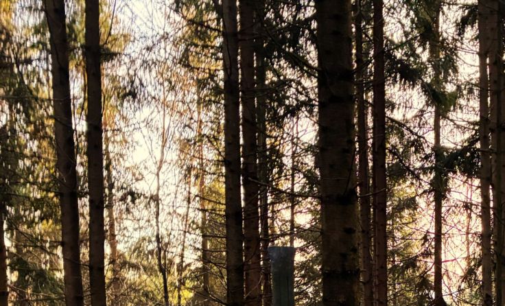 Ostern am Gipfelkreuz des "Hengsten" (Bildrechte: Walter Burgstaller)