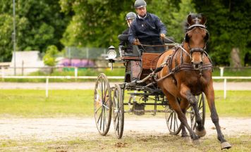 Union Reit- und Fahrverein lädt zum Fahrertreffen in Bad Ischl