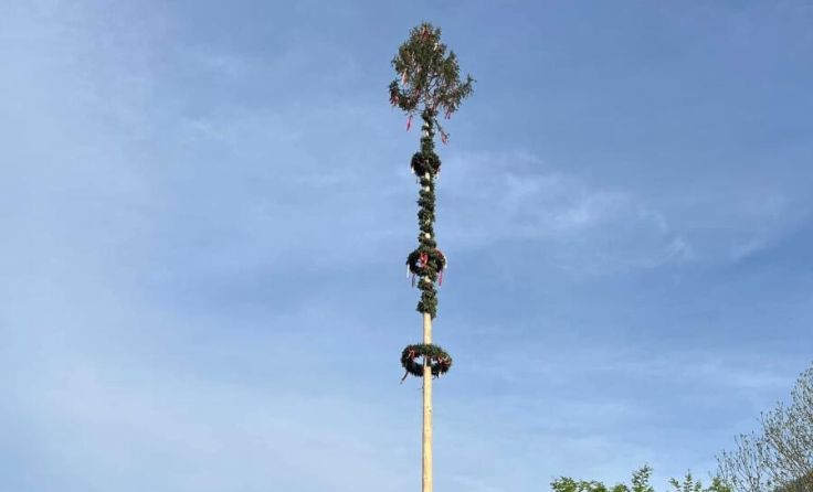 Bald steht der Maibaum in Obertraun nicht mehr. (Foto: Bergrettung Obertraun)
