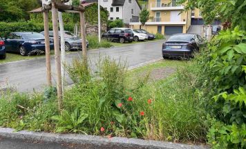 Gmundner Parkplatz für Klimaanpassungspreis nominiert