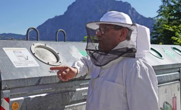 Bienenschutz in Gmunden durch saubere Honiggläser