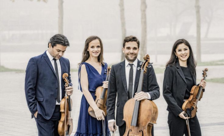 Minetti Quartett (Foto: Iréne Zandel)