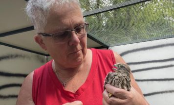 Wildtierstation Aurachtal: Einsatz für mehr als 650 Tiere im Jahr