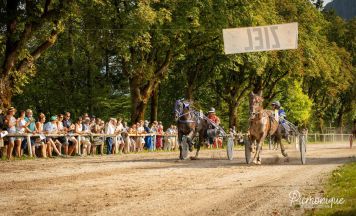 Trabrennen und Damensattelreiten auf der Bad Ischler Rennbahn