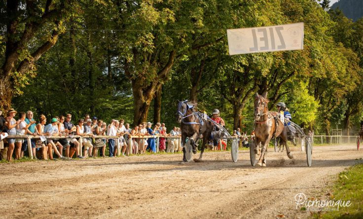 Trabrennen in Bad Ischl (Foto: Monika Schmid)