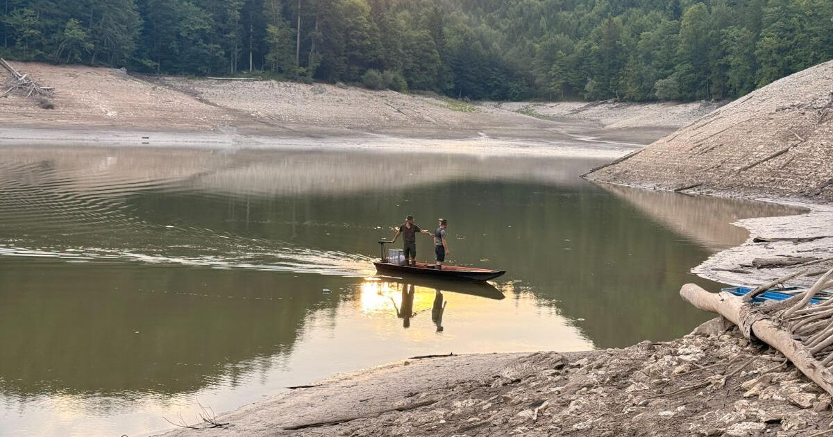 Notabfischung soll den Fischbestand im Nussensee retten
