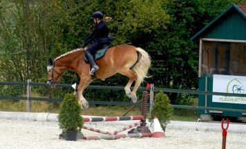 Working-Equitation-Reitertreffen des URFV Fleckleiten