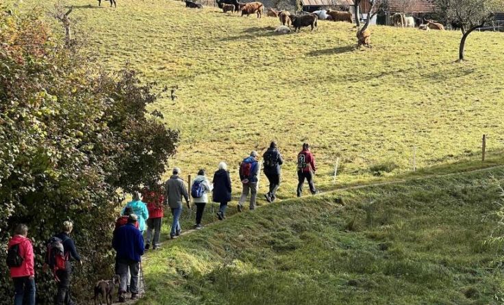 Wandertag am Nationalfeiertag in Bad Ischl (Foto: www.badischl.at)