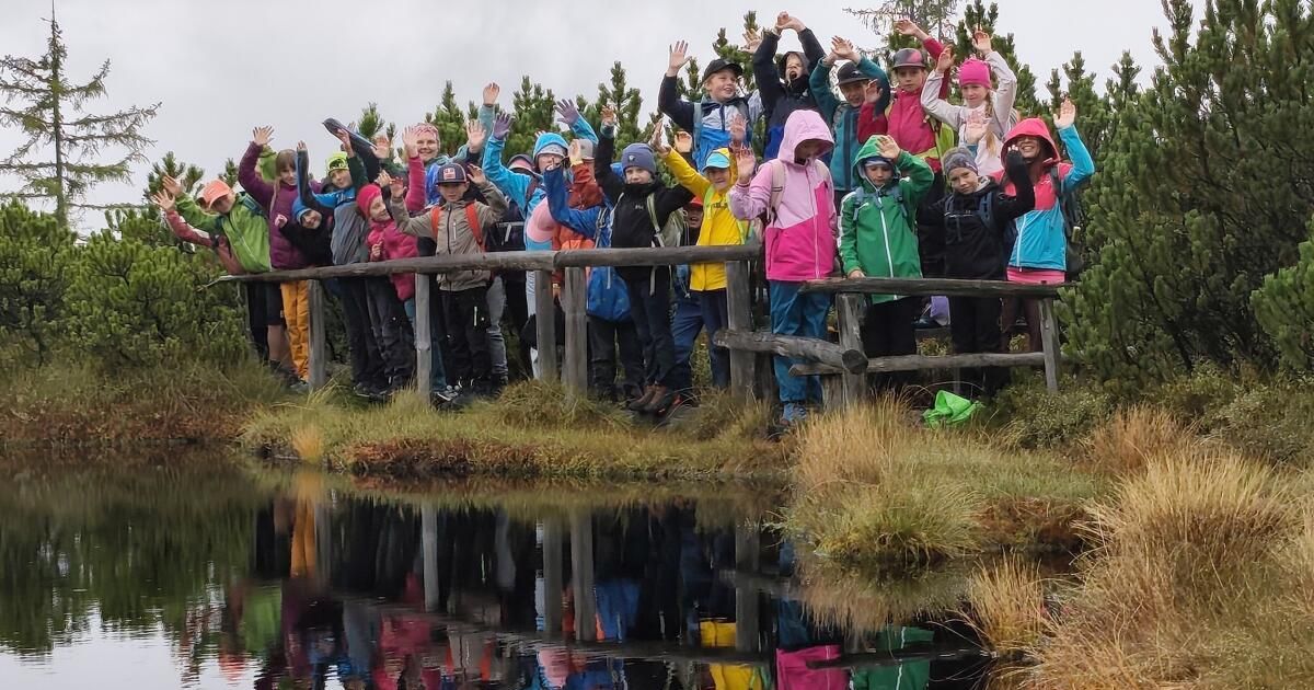 Lernen im Moor: Wie Kinder in Gosau Klimaschutz hautnah erleben