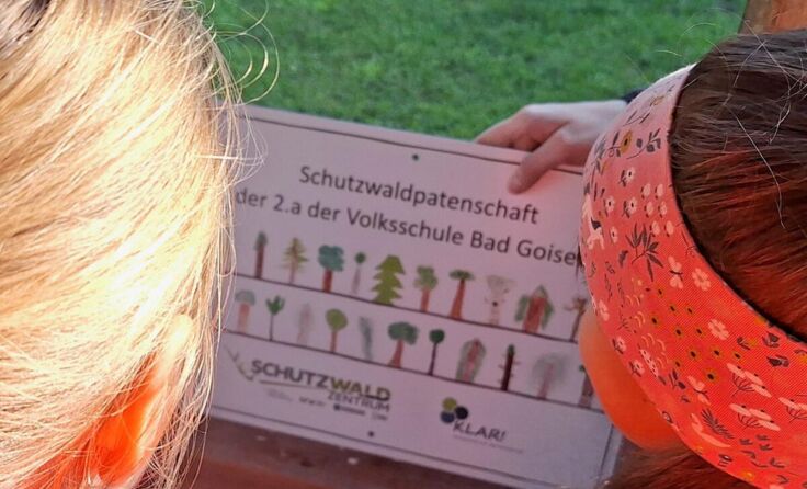 Schutzwaldpatenschaft der Volksschule Bad Goisern (Foto: KLAR! Inneres Salzkammergut)