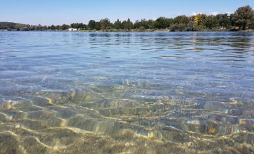 Wasserrettung Pichling sucht neuen Stützpunkt