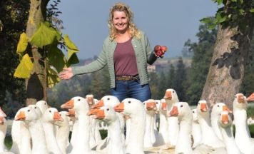 Zu Martini kommen vom Mühlviertel bis ins Traunviertel regionale Gänse auf den Teller